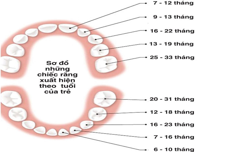 Quá trình mọc răng thông thường ở trẻ