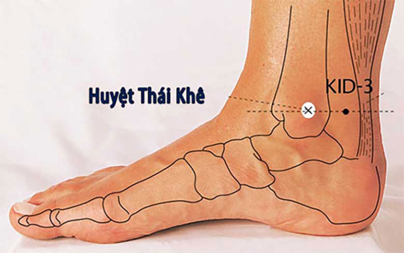 Hình ảnh vị trí huyệt Thái Khê