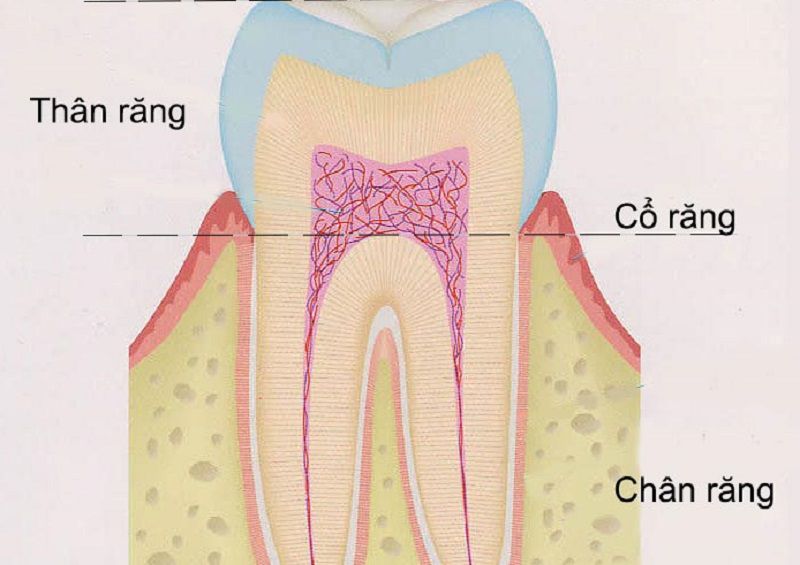 Đây là 3 bộ phận quan trọng nhất