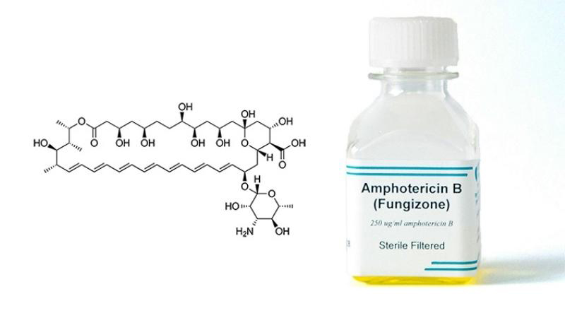 Thuốc Amphotericin B có tác dụng chữa viêm lưỡi bản đồ rất tốt