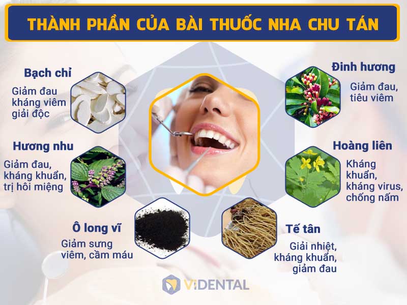 Thành phần của Nha Chu Tán chủ yếu là các dược liệu quý hiếm