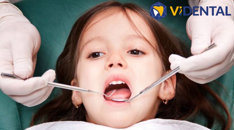 Vidental Care được nhiều khách hàng đánh giá cao về chất lượng dịch vụ