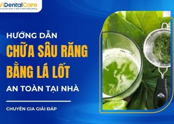 Hướng dẫn chữa sâu răng bằng lá lốt an toàn tại nhà